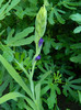 DSCN0193