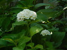 DSCN0196