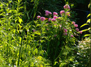 DSCN0197