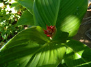 DSCN0198