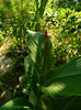 DSCN0199