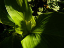 DSCN0200