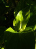 DSCN0203