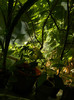 DSCN0205