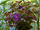 DSCN0206