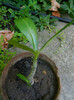 DSCN0209
