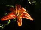 DSCN0214