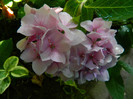 DSCN0219