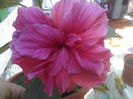 P06-07-12_15.44[1]