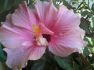 P07-07-12_13.47[1]
