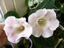 IMAG0040