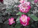 P070712_19.30_[03]