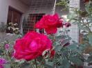 P070712_19.31_[01]