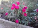 P070712_19.33_[04]