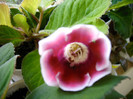 IMAG0034