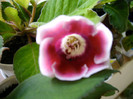 IMAG0035