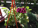 DSCF1306
