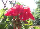 DSCF1314