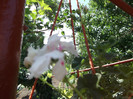 DSCF1316