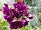 DSCF1362