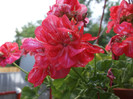 DSCF1373