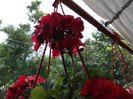 DSCF1376