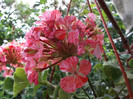 DSCF1377