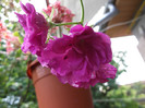 DSCF1378