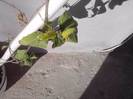 P070712_18.11_[05]
