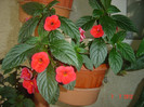 poze 1218