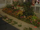 poze 1214
