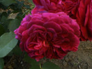DSC00139
