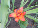 DSCN1579