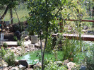 DSC01173