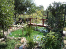 DSC01174