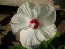 P1010283