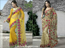 Bridal Sarees 2012  Silk SareesSaris  Indian Designer Saree Blouse Styles-izandrew.blogspot.com
