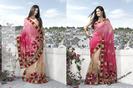 Latest-Trend-of-Saree-2012-For-Women-of-Pakistan-and-India-l