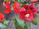 DSC07651