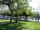 04052011124