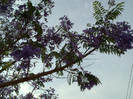 27052011144