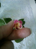 8 ulie 2012-flori 021