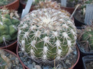 DSCF1531