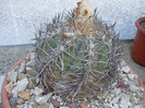DSCF1534