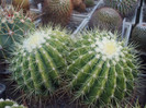 DSCF1542