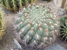 DSCF1559