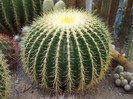 DSCF1560