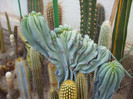 DSCF1562