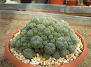 DSCF1566