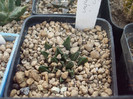 DSCF1579